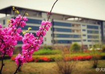 观“大美陕汽”有感