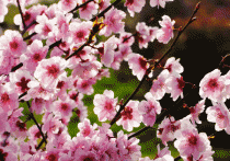 造重卡的“女神”，听说你们要过节了